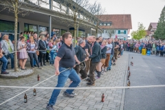 Maibaumfest 2017-193