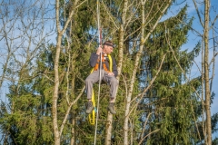 Maibaumfest 2017-21