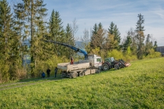 Maibaumfest 2017-24