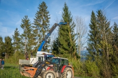 Maibaumfest 2017-25
