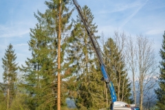 Maibaumfest 2017-28