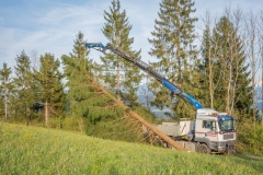 Maibaumfest 2017-29