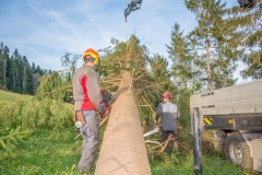 Maibaumfest 2017-32