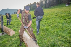 Maibaumfest 2017-36