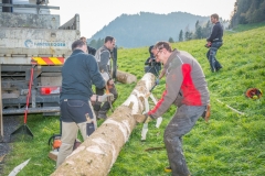 Maibaumfest 2017-38