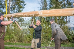 Maibaumfest 2017-39