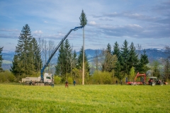 Maibaumfest 2017-44