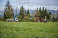Maibaumfest 2017-45