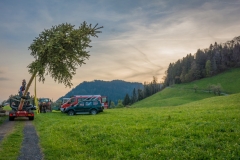 Maibaumfest 2017-48