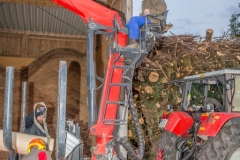 Maibaumfest 2017-49