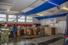 Maibaumfest 2017-58