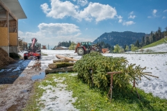 Maibaumfest 2017-87