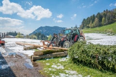Maibaumfest 2017-88