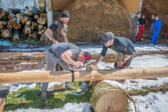 Maibaumfest 2017-89