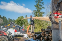 Maibaumfest 2017-92