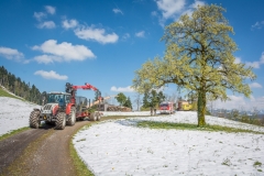 Maibaumfest 2017-96