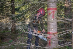 Maibaumfest_2018-17