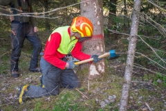 Maibaumfest_2018-18
