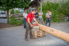 Maibaumfest_2018-186