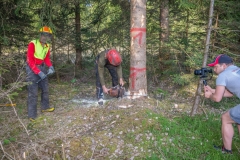 Maibaumfest_2018-27