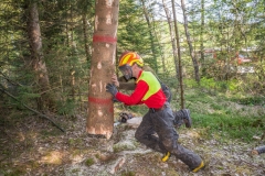 Maibaumfest_2018-31