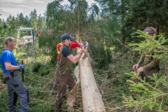 Maibaumfest_2018-33
