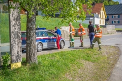 Maibaumfest_2018-65