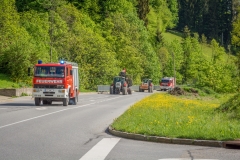 Maibaumfest_2018-68