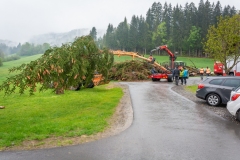 Maibaumfest_2019-104