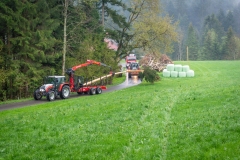 Maibaumfest_2019-105