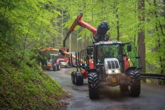 Maibaumfest_2019-109