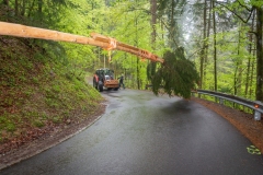 Maibaumfest_2019-110