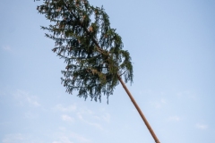 Maibaumfest_2019-182