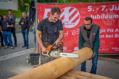 Maibaumfest_2019-300