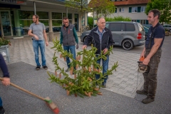 Maibaumfest_2019-316