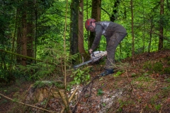 Maibaumfest_2019-56
