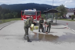 Einsatz 10.06.2017 - Ölspur Fahl KF (2)