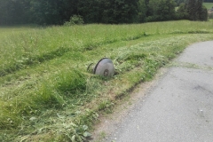 Einsatz 10.06.2017 - Ölspur Fahl KF (3)