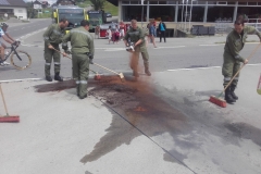 Einsatz 10.06.2017 - Ölspur Fahl KF (5)