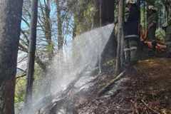 IMG-20210421-WA0008
