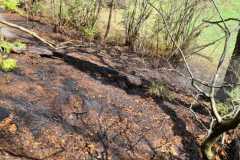 IMG-20210421-WA0010