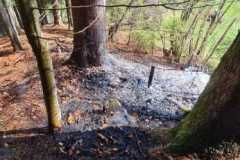 IMG-20210421-WA0014