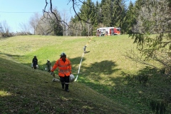 IMG_20210421_114859